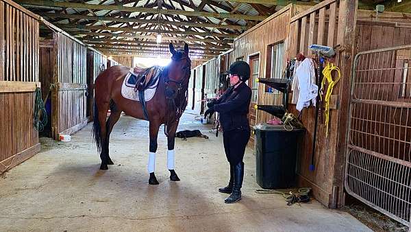 six-filly
