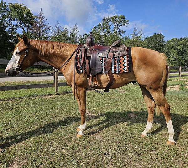 natural-horse-paint