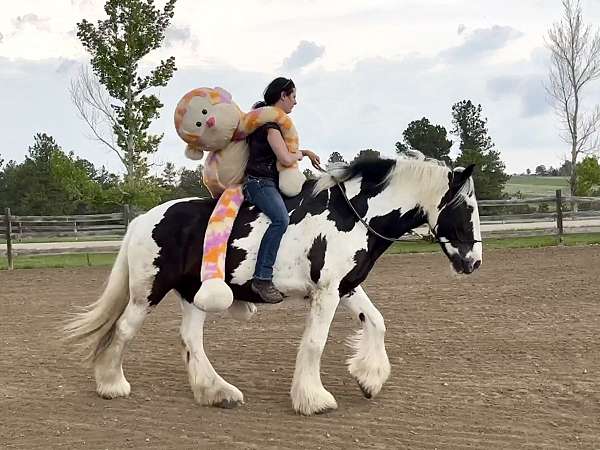 can-do-it-all-drum-horse