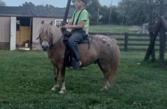 perfect-kids-pony-riding-pony