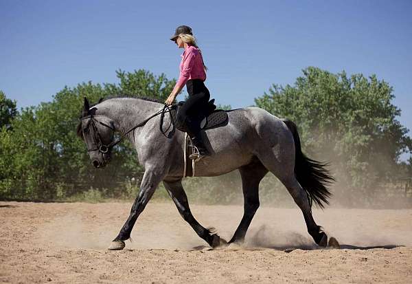 back-up-draft-horse