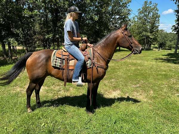 husband-safe-quarter-horse