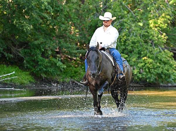 trail-riding-quarter-horse