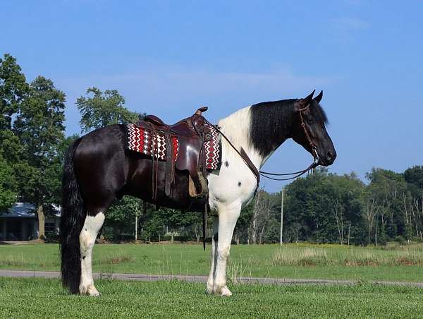 tobiano-strip-horse