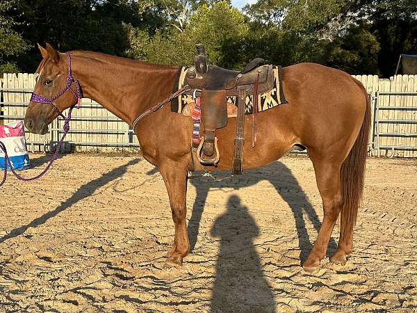 sorrel-ranch-ve-horse