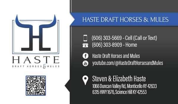 driving-pair-draft-horse