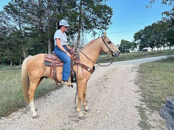 flashy-quarter-horse