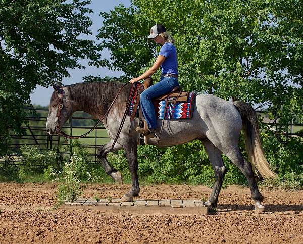 ranch-riding-quarter-horse
