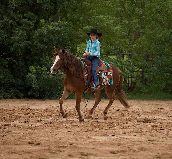 trail-riding-quarter-pony