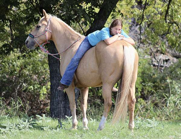 rodeo-queen-quarter-horse