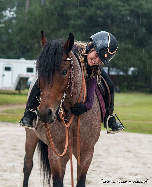 trail-safe-draft-horse