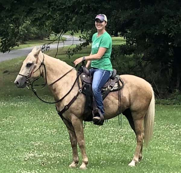 palomino-quarter-horse-gelding