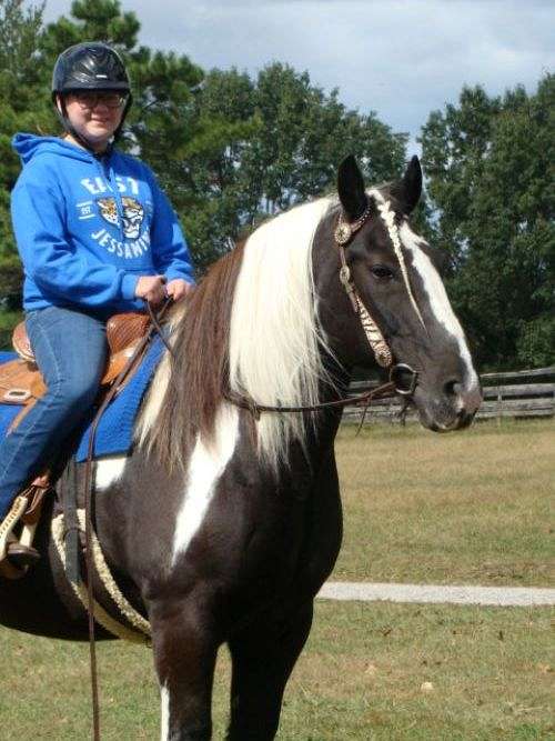 pinto-black-n-white-horse