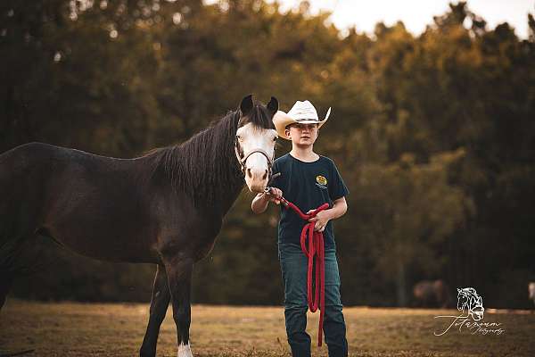 finished-kid-safe-paint-pony