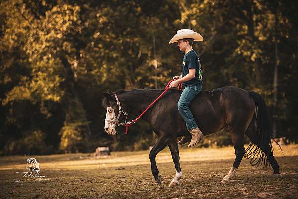 bay-overo-finished-kid-safe-pony