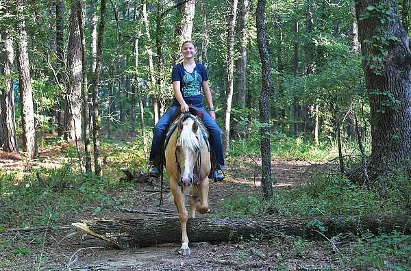 ranch-horse-quarter