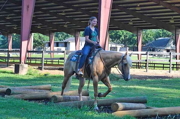 flashy-quarter-horse