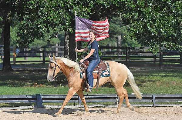 palomino-reinin-horse