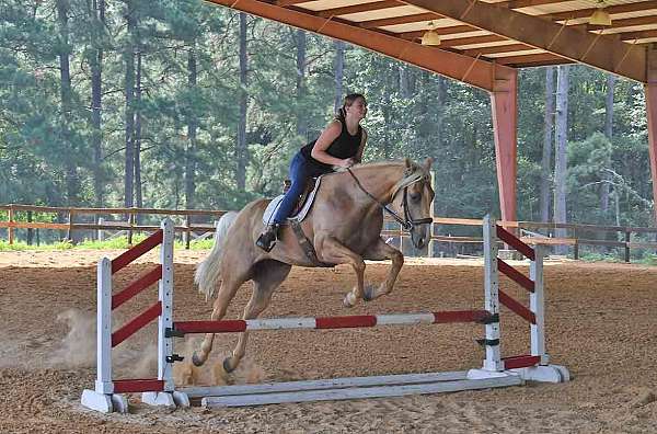 ranch-horse-quarter