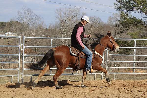 cowboy-mounted-shooting-quarter-horse
