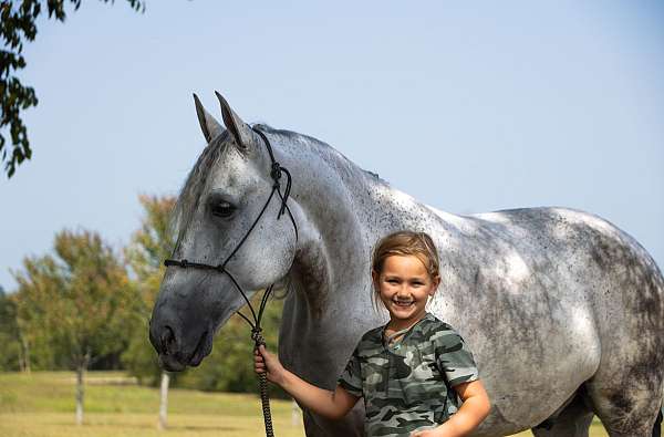 gun-safe-tennessee-walking-horse