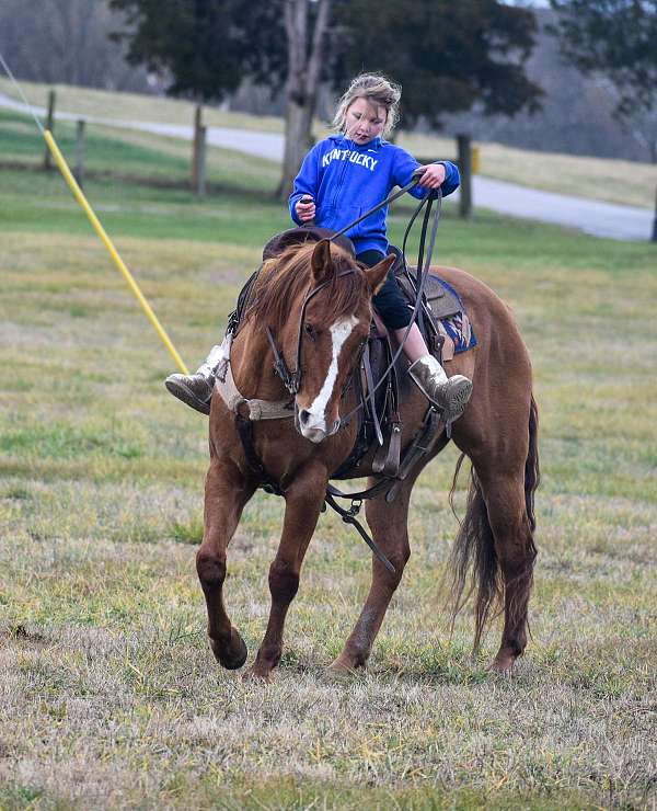 kids-rope-horse-gelding