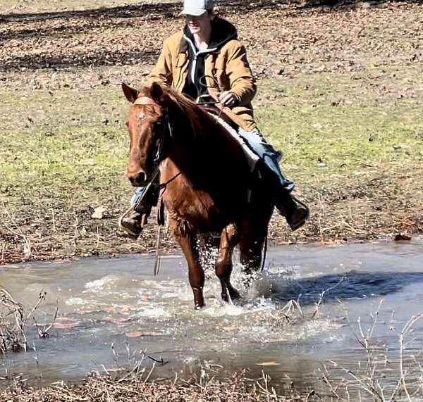 trail-riding-mare