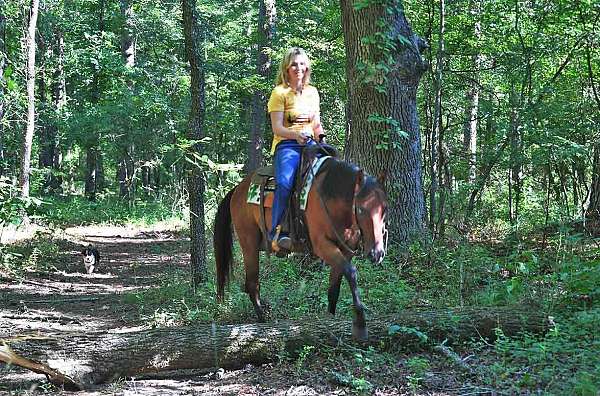 trail-riding-quarter-horse