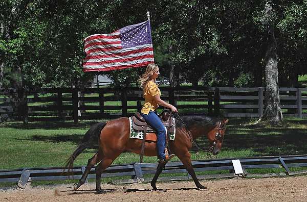 kid-safe-quarter-horse