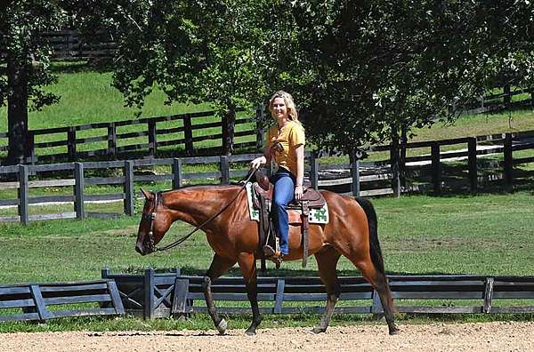 western-quarter-horse