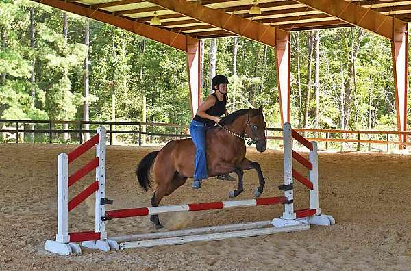 ranch-riding-quarter-horse