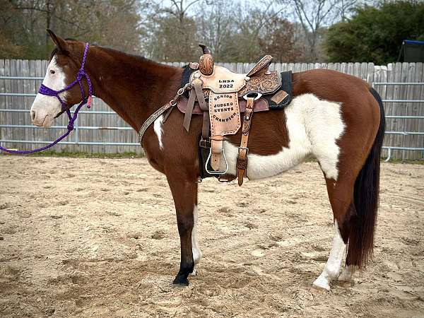 athletic-paint-horse