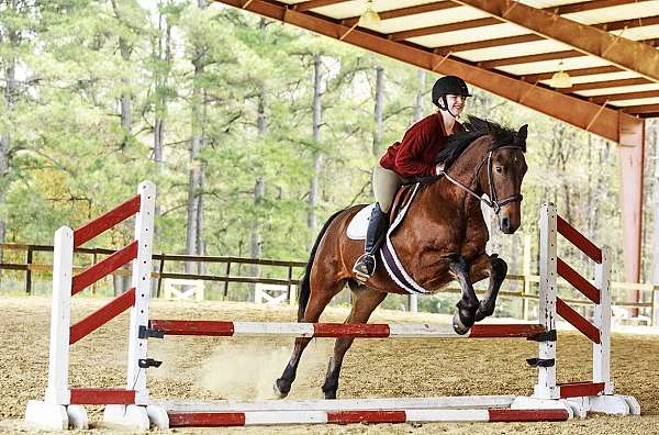 kids-horse-friesian