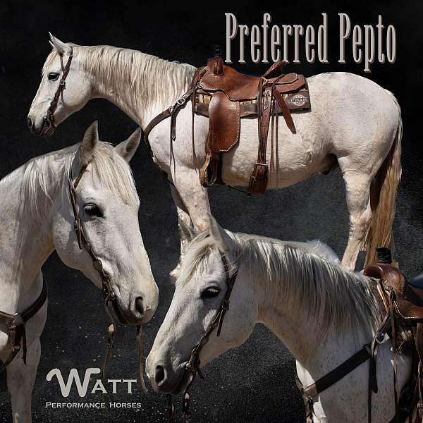 watt-horses-quarter