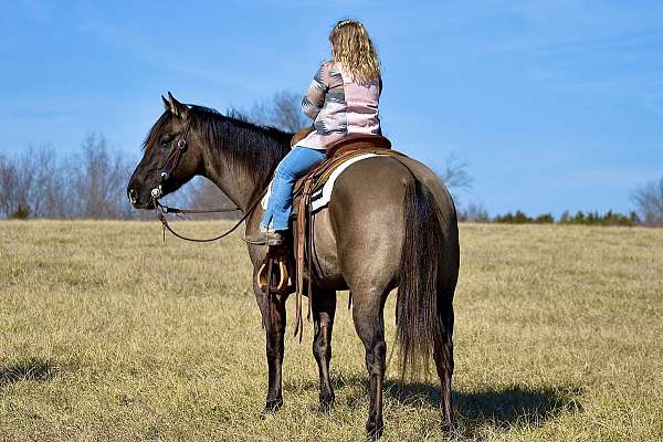 lessons-horse-quarter-pony