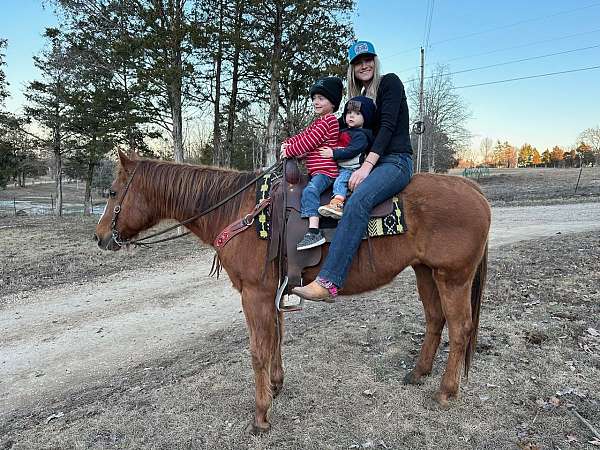 husband-safe-quarter-horse