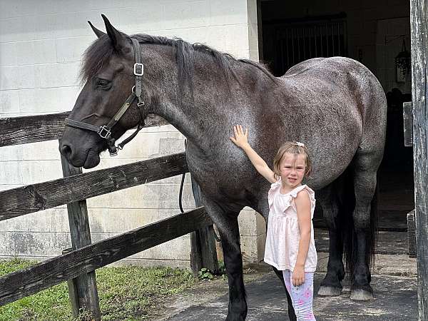 ranch-draft-horse