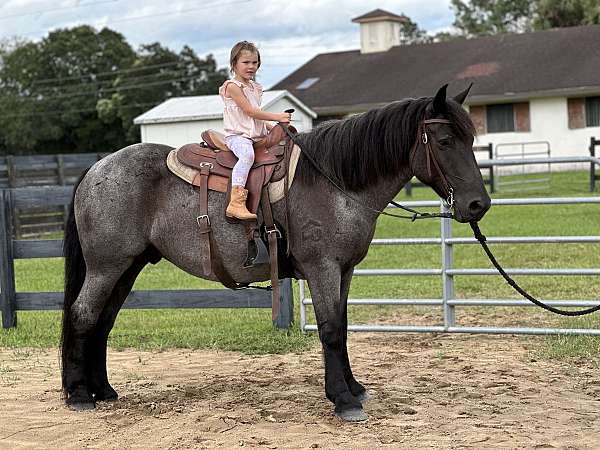 cross-draft-horse