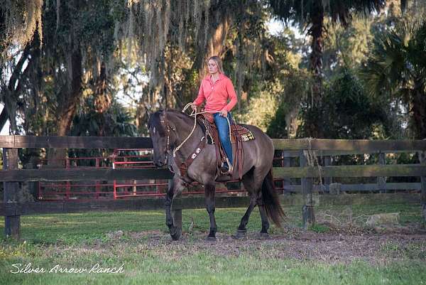 pretty-american-cream-horse