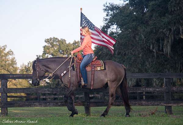 strong-american-cream-horse