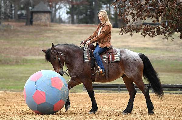 kids-pony-quarter