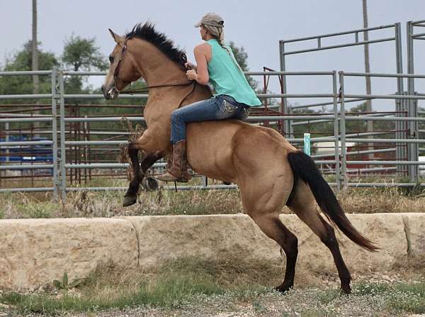 jumping-quarter-horse