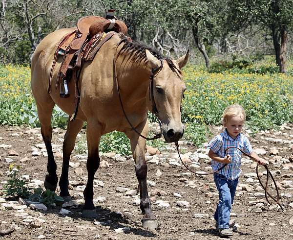 athletic-quarter-horse