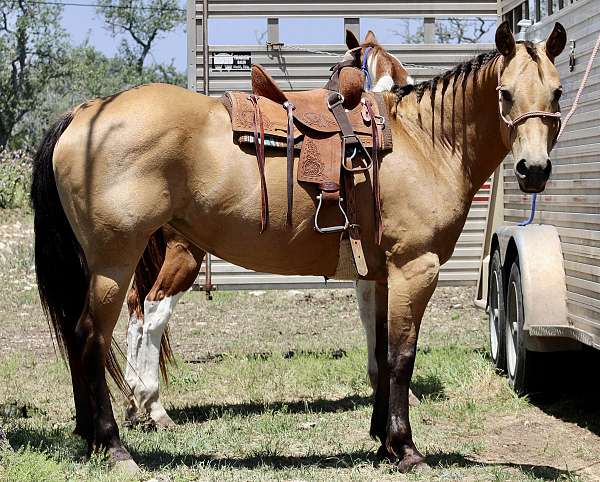 barrel-racing-quarter-horse