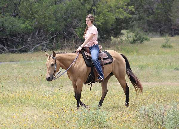 dappled-quarter-horse