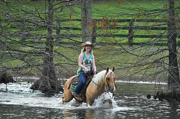 trail-horse-quarter