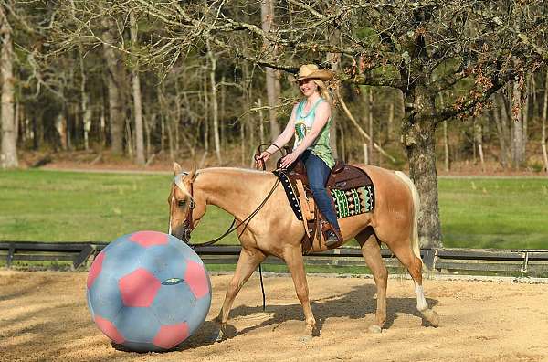 flashy-quarter-horse