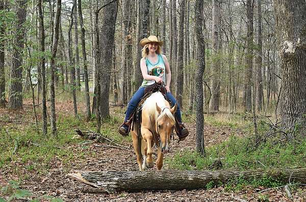 family-safe-quarter-horse