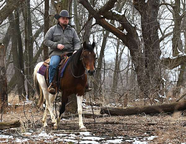 athletic-paint-pony