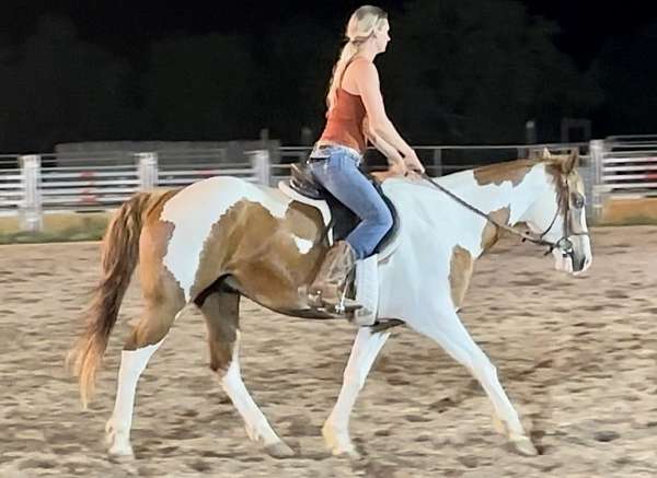 red-dun-tobiano-horse